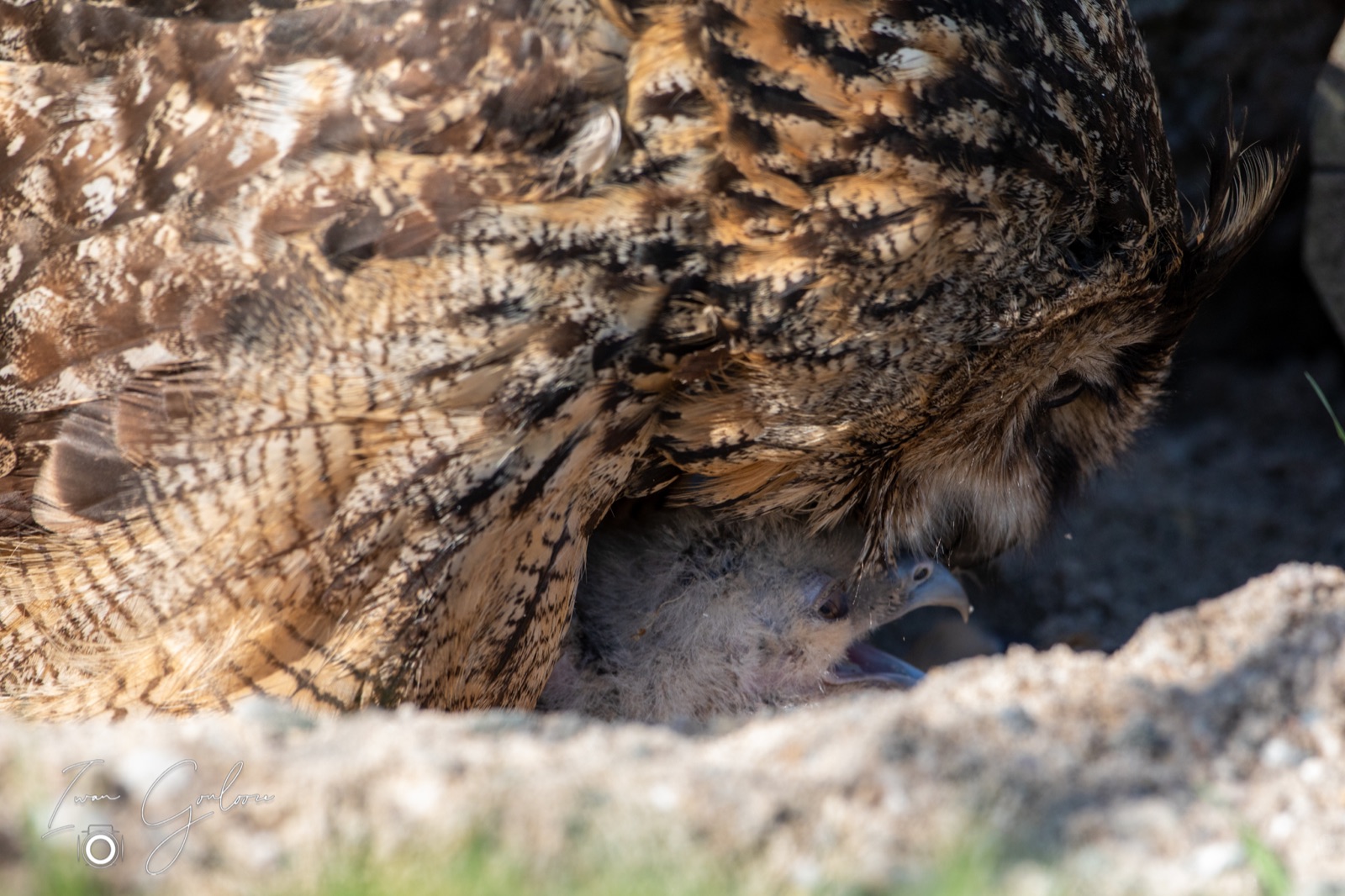 18 april 2022 101023  5D46520